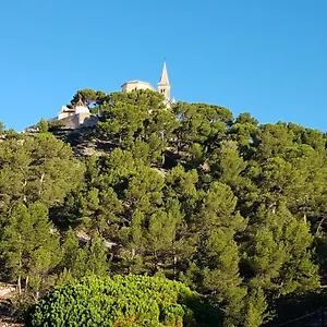 Sous L'olivier , Marseille France