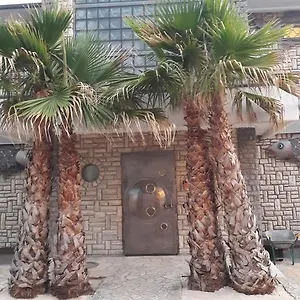 Fischer Haus , Sveti Petar (Zadar) Chorwacja